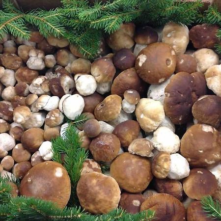 Charmantes Landhaus Mit Garten Und Traumhaftem Fernblick Thal  ภายนอก รูปภาพ