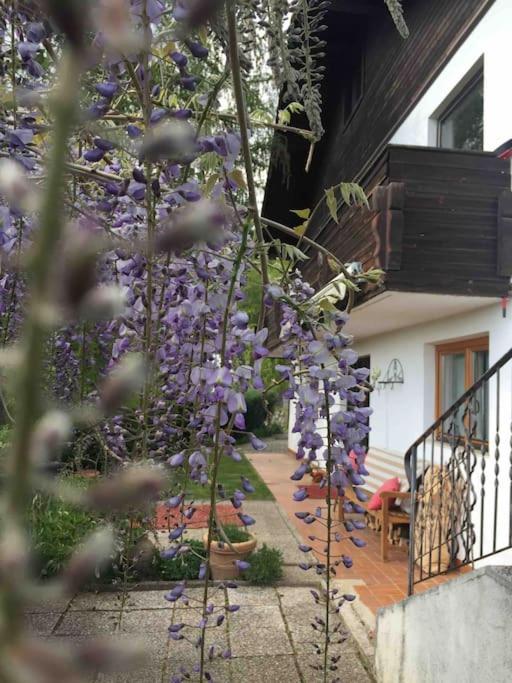 Charmantes Landhaus Mit Garten Und Traumhaftem Fernblick Thal  ภายนอก รูปภาพ