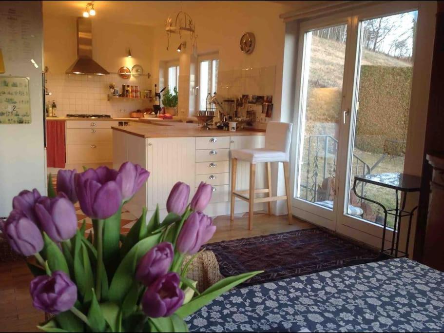 Charmantes Landhaus Mit Garten Und Traumhaftem Fernblick Thal  ภายนอก รูปภาพ