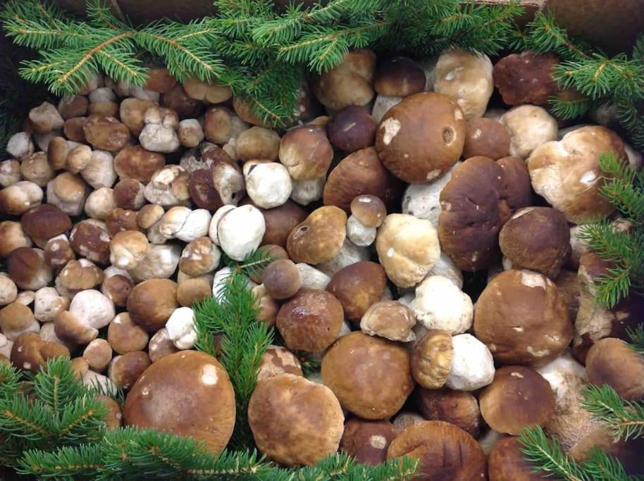 Charmantes Landhaus Mit Garten Und Traumhaftem Fernblick Thal  ภายนอก รูปภาพ