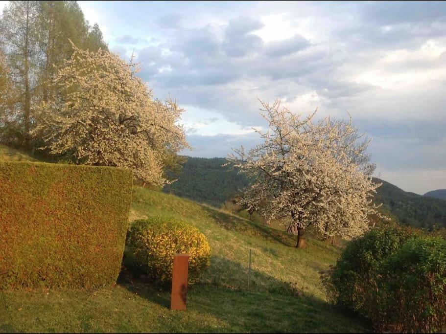 Charmantes Landhaus Mit Garten Und Traumhaftem Fernblick Thal  ภายนอก รูปภาพ