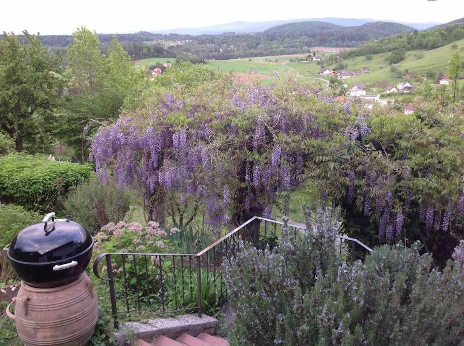 Charmantes Landhaus Mit Garten Und Traumhaftem Fernblick Thal  ภายนอก รูปภาพ