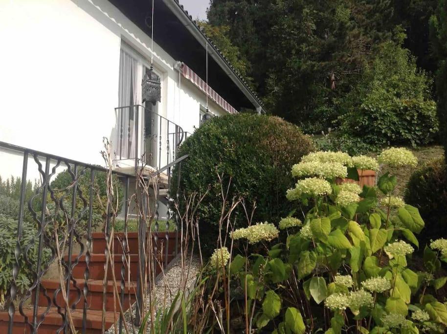Charmantes Landhaus Mit Garten Und Traumhaftem Fernblick Thal  ภายนอก รูปภาพ